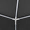 vidaXL - Partytent - met - zijwanden - professioneel - 90 - g/m² - 2x2 - m - antraciet