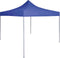 vidaXL - Partytent - professioneel - inklapbaar - 2x2 - m - staal - blauw