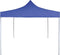 vidaXL - Partytent - professioneel - inklapbaar - 2x2 - m - staal - crème