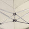 vidaXL - Partytent - professioneel - inklapbaar - 6x3 - m - aluminium - crème