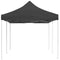 vidaXL - Partytent - professioneel - inklapbaar - 6x3 - m - aluminium - antraciet
