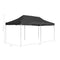 vidaXL - Partytent - professioneel - inklapbaar - 6x3 - m - aluminium - antraciet