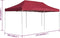 vidaXL - Partytent - professioneel - inklapbaar - 6x3 - m - aluminium - wijnrood