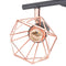 vidaXL Plafondlamp met 2 spotlights E14 zwart en koper