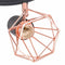 vidaXL Plafondlamp met 3 filament LED-lampen 12 W