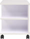 vidaXL - Plankenkast - verrijdbaar - 50x35x42 - cm - wit