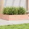 vidaXL - Plantenbak - 100x100x23 - cm - massief - douglashout