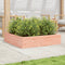 vidaXL - Plantenbak - 100x100x23 - cm - massief - douglashout