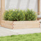 vidaXL - Plantenbak - 100x100x23 - cm - massief - grenenhout