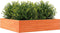 vidaXL - Plantenbak - 100x100x23 - cm - massief - grenenhout - wasbruin