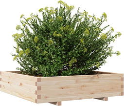 vidaXL - Plantenbak - 100x100x26,5 - cm - massief - grenenhout