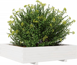 vidaXL - Plantenbak - 100x100x26,5 - cm - massief - grenenhout - wit