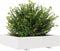 vidaXL - Plantenbak - 100x100x26,5 - cm - massief - grenenhout - wit