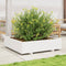 vidaXL - Plantenbak - 100x100x26,5 - cm - massief - grenenhout - wit