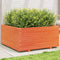vidaXL - Plantenbak - 100x100x49,5 - cm - massief - grenenhout - wasbruin