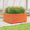 vidaXL - Plantenbak - 100x100x49,5 - cm - massief - grenenhout - wasbruin