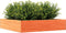 vidaXL - Plantenbak - 110x110x23 - cm - massief - grenenhout - wasbruin