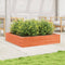 vidaXL - Plantenbak - 110x110x23 - cm - massief - grenenhout - wasbruin