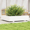 vidaXL - Plantenbak - 110x110x26,5 - cm - massief - grenenhout - wit