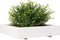 vidaXL - Plantenbak - 110x110x26,5 - cm - massief - grenenhout - wit
