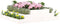 vidaXL - Plantenbak - 110x110x27 - cm - massief - grenenhout - wit