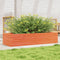 vidaXL - Plantenbak - 110x40x23 - cm - massief - grenenhout - wasbruin