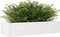 vidaXL - Plantenbak - 110x40x23 - cm - massief - grenenhout - wit