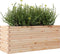 vidaXL - Plantenbak - 110x40x45,5 - cm - massief - grenenhout