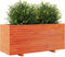 vidaXL - Plantenbak - 110x40x49,5 - cm - massief - grenenhout - wasbruin