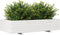 vidaXL - Plantenbak - 110x60x26,5 - cm - massief - grenenhout - wit