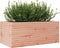 vidaXL - Plantenbak - 110x60x45,5 - cm - massief - douglashout