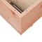 vidaXL - Plantenbak - 110x60x49,5 - cm - massief - douglashout