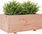 vidaXL - Plantenbak - 110x60x49,5 - cm - massief - douglashout