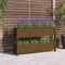vidaXL - Plantenbak - 112x25x66 - cm - massief - grenenhout - honingbruin
