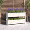 vidaXL - Plantenbak - 112x25x66 - cm - massief - grenenhout - wit