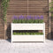 vidaXL - Plantenbak - 112x25x66 - cm - massief - grenenhout - wit
