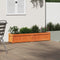 vidaXL - Plantenbak - 150x31x31 - cm - massief - grenenhout - wasbruin