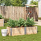 vidaXL - Plantenbak - 150x50 - cm - massief - grenenhout