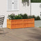 vidaXL - Plantenbak - 150x50x50 - cm - massief - grenenhout - wasbruin