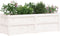 vidaXL - Plantenbak - 150x50x50 - cm - massief - grenenhout - wit