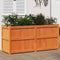 vidaXL - Plantenbak - 150x50x70 - cm - massief - grenenhout - wasbruin