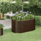vidaXL - Plantenbak - 152x80x68 - cm - gepoedercoat - staal - bruin