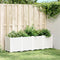 vidaXL - Plantenbak - 160x40x53 - cm - polypropeen - wit