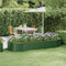 vidaXL - Plantenbak - 249x100x36 - cm - gepoedercoat - staal - groen