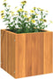 vidaXL - Plantenbak - 25x25x25 - cm - massief - acaciahout