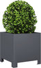 vidaXL - Plantenbak - 30x30x30 - cm - staal - antracietkleurig