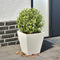 vidaXL - Plantenbak - 30x30x30 - cm - staal - wit
