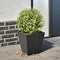 vidaXL - Plantenbak - 30x30x30 - cm - staal - zwart