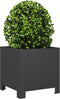 vidaXL - Plantenbak - 30x30x30 - cm - staal - zwart