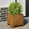vidaXL - Plantenbak - 30x30x30 - cm - weervast - staal